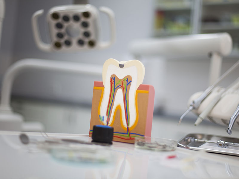 John G. Fletcher, DMD | Root Canals, Veneers and Dental Cleanings