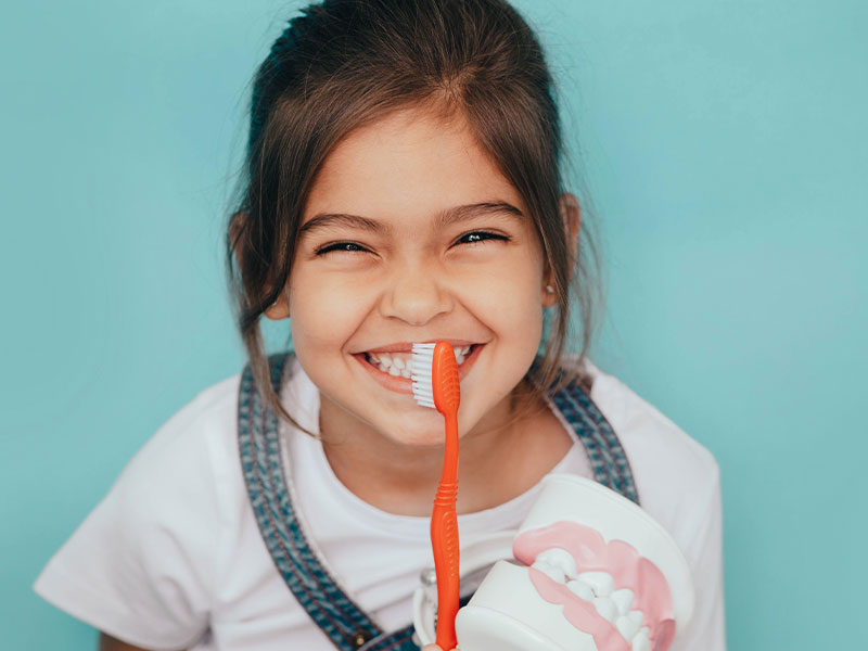 John G. Fletcher, DMD | Emergency Treatment, Preventative Program and Extractions